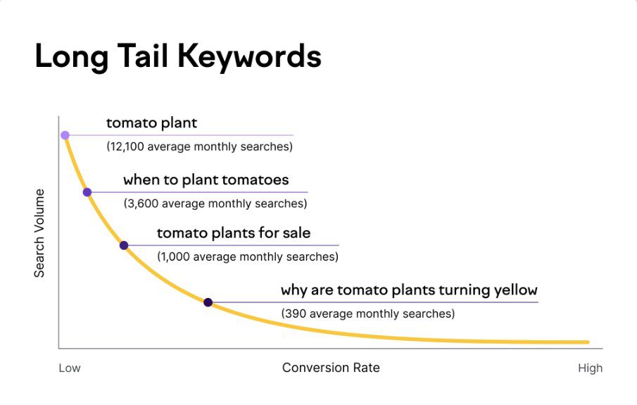 What Are Long Tail Keywords and Why Do They Matter